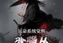 想读邢风的故事，哪里可以免费找到氪命系统觉醒，变强从掠杀开始？-艾米文学