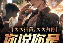 次次扫黄次次有你,你说你是卧底?这本小说怎么样?免费在线阅读试试-艾米文学