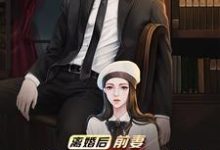 离婚后,前妻跪求我复婚小说免费资源,离婚后,前妻跪求我复婚在线阅读-艾米文学
