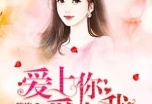 赵静静单昊天的故事在哪本书里？免费阅读爱上你爱上我-艾米文学