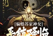 南宫辰的小说在哪里看？免费在线阅读骗婚苏家神女，系统降临上古神瞳-艾米文学