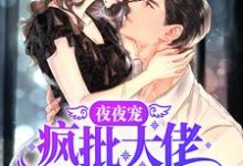 已完结小说《夜夜宠，疯批大佬霸道撩妻》在线章节阅读-艾米文学