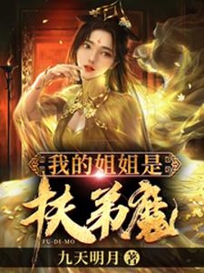 寻找我的姐姐是扶弟魔小说的最新更新章节