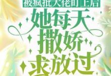 小说《被疯批大佬盯上后,她每天撒娇求放过》章节免费阅读-艾米文学