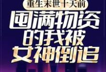 小说《重生末世十天前,囤满物资的我被女神倒追》在线章节阅读-艾米文学