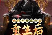 在线寻找李澈的小说，宗门想开采魔窟？重生后我不拦了免费阅读-艾米文学