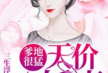 爹地很猛：天价小娇妻小说最新更新在哪里？免费在线看-艾米文学