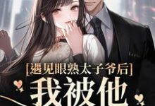 遇见眼熟太子爷后,我被他吃干抹净小说全文阅读需要付费吗?寻找免费资源-艾米文学