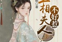 丞相夫人不好惹小说,丞相夫人不好惹最新章节-艾米文学