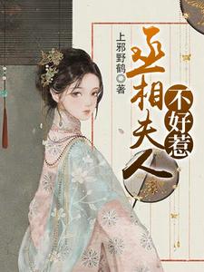 丞相夫人不好惹小说，丞相夫人不好惹最新章节