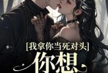 《我拿你当死对头，你想钻我被窝？》小说章节列表免费试读，黎娇沈颜小说在线阅读-艾米文学