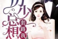 想读沐依依厉睿丞厉诗妍的故事，哪里可以免费找到厉少总想套路我？-艾米文学