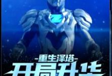 《重生泽塔，开局升华赛迦形态！》全集免费在线阅读（遥辉）-艾米文学