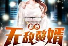 小说《都市无敌赘婿》章节免费阅读-艾米文学
