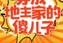 穿成地主家的傻儿子免费阅读，穿成地主家的傻儿子章节在线阅读-艾米文学