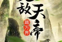 完结版《无敌天帝踏万界》章节阅读-艾米文学