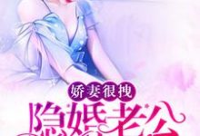 免费在线阅读娇妻很拽:隐婚老公,宠翻天小说的正规网站有哪些?-艾米文学