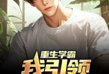 重生学霸：我引领强国狂潮小说，重生学霸：我引领强国狂潮在线阅读-艾米文学