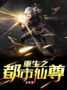 重生之都市仙尊免费阅读，重生之都市仙尊 叶珉陆无邪