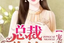 《宠妻成瘾,总裁你够了》小说大结局免费试读 左小暖慕准深顾墨禹东野小说-艾米文学