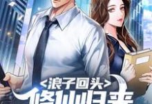 小说《浪子回头：修仙归来，老婆逼我离婚》章节阅读-艾米文学