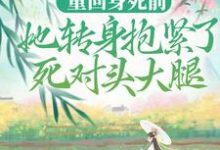 重回身死前,她转身抱紧了死对头大腿夏沫染顾铭修在线章节免费阅读-艾米文学