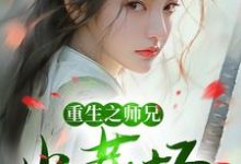 重生之师兄火葬场小说有没有完整的免费版本在线阅读?-艾米文学