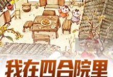 叶远为主角的小说叫什么？免费看我在四合院里斗智斗勇-艾米文学