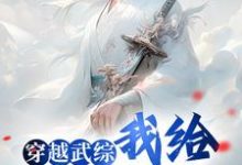 穿越武综,我给邀月解毒小说最新章节在哪里可以读到?-艾米文学