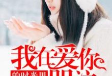 小说《我在爱你的时光里哭泣》章节阅读-艾米文学