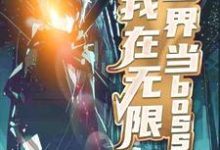 我在无限世界当boss小说阅读，我在无限世界当boss完结版-艾米文学