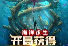 《海洋求生：开局获得提示外挂》全集免费在线阅读（楚风娜美）-艾米文学