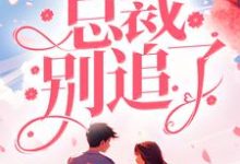 完结版《夫人改嫁了,总裁别追了!》章节阅读-艾米文学