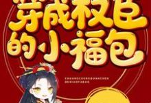 小说《穿成权臣的小福包》章节免费阅读-艾米文学