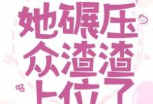 求携四宝嫁邪王，她碾压众渣渣上位了小说的全文免费阅读链接-艾米文学