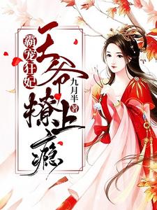 霸宠狂妃：王爷撩上瘾！小说最新更新在哪里？免费在线看