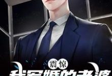 完结版《震惊!我军婚的老婆成富婆了》在线免费阅读-艾米文学