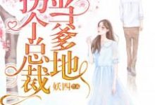 主人公叫叶安楠池逸辰的小说拐个总裁当爹地在线阅读章节-艾米文学