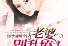 帝少通缉令:老婆,别乱撩(苏雅白荣玄宁)在线免费阅读-艾米文学