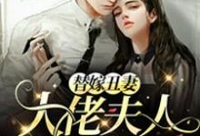 小说《替嫁丑妻：大佬夫人A爆了》章节免费阅读-艾米文学