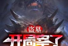 哪里能找到盗墓:开局宰了怒晴鸡小说的全部章节?-艾米文学