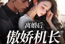 离婚后，傲娇机长求复合小说，离婚后，傲娇机长求复合免费阅读-艾米文学