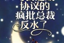 《闪婚夜，与我达成协议的疯批总裁反水了》全集免费在线阅读（顾念傅言枭）-艾米文学
