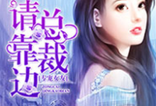 免费阅读鱼羽儿盛飞鹄为主角的小说,专宠女友,总裁请靠边在线看-艾米文学