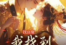 在线寻找找良缘，我找到皇上身上小说的无删减版本-艾米文学