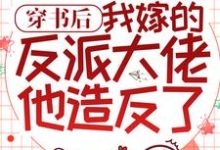 完结版《穿书后,我嫁的反派大佬他造反了》章节目录在线阅读-艾米文学