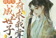 商贾女成世子妃,侯府求我掌家小说免费资源,商贾女成世子妃,侯府求我掌家在线阅读-艾米文学