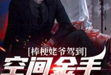 棒梗姥爷驾到,空间金手指开启!小说全文哪里可以免费看?-艾米文学