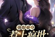 免费看强取豪夺,惹上疯批逃不掉小说的网站有哪些?-艾米文学