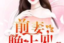 求只婚不爱:前妻,晚上见!小说的全文免费阅读链接-艾米文学